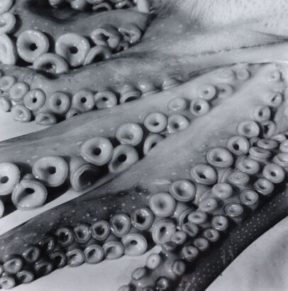 PETER PERYER Octopus