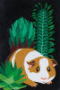 PRISCILLA HUNTER Hamster
