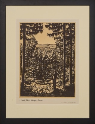DOUGLAS J WATKINS Larch Forest Wiotapu Rotorua