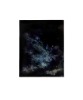HANNAH BOSWELL Umbra (Westerlund Revisited) - 2
