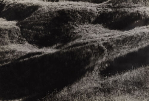DO VAN TOAN untitled