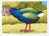 DON BINNEY Motutapu Takahe Release III