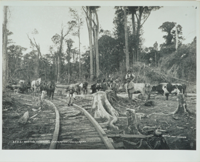 4242- Booth's Sawmill Carterton Wairarapa
