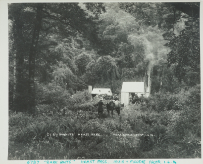 Burk Huts Haast Pass