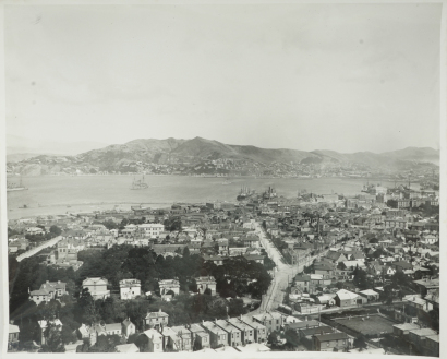 Wellington from Aurora Terrace