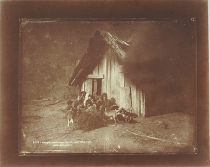 John B Turner -PIPIRIKI-WANGANUI RIVER-KING COUNRTY