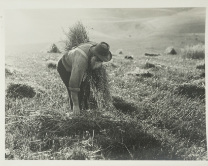 Harvest