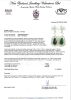 18ct White Gold Emerald and Diamond Earrings - 2