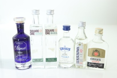 (1) Mixed Vodka Miniatures, 6 Bottles Sold as One Lot