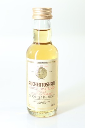 (1) Auchentoshan 10 Year Old Single Malt Scotch Whisky Miniature