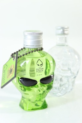 (1) Alien and Skull Miniatures, 2 Sold as One Lot