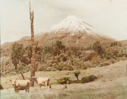 Roger Schall - Mt Egmont