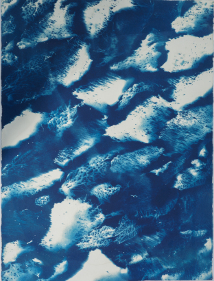 JUDITH MOHNS untitled