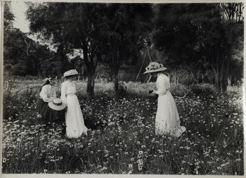 J.W. PERMIN Picking Daisies Waitati
