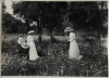 J.W. PERMIN Picking Daisies Waitati