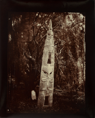 WILLIAM J. HARDING Te Kōanga o Rehua