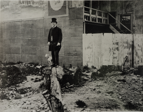 JOHN B TURNER John Plimmer at Plimmer's Ark