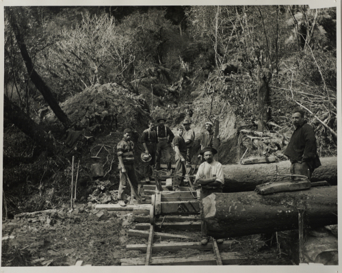 WILLIAM TYREE Kauri Loggers (reproduction by the Alexander Turnbull Library)