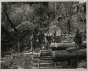 WILLIAM TYREE Kauri Loggers (reproduction by the Alexander Turnbull Library)