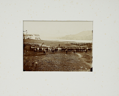WILLIAM J HARDING untitled (Reprint by John B. Turner)