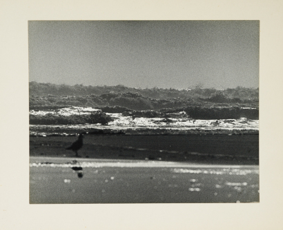 D.L.KELLY Hicks Bay
