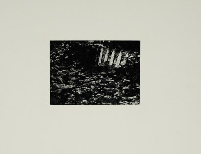 GRANT DOUGLAS untitled