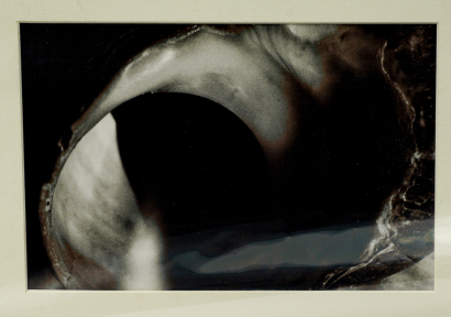 Maureen R. Lander The door to the darkness