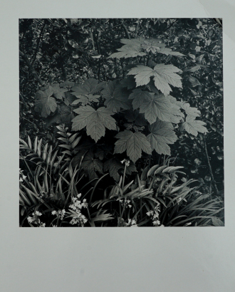 JOHN B TURNER untitled