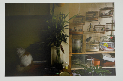 JOHN B TURNER Petshop owner's house, Changping, Beijing