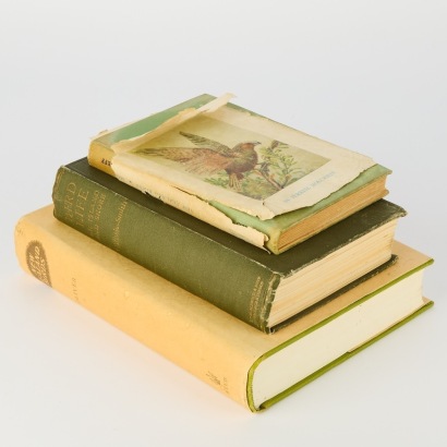 Three Books on New Zealand Birds