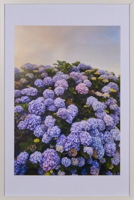 An Original Photographic Print