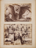 JOHN PAINE An Album Page Featuring a Photograph of a Flying Fox by John Paine and a Collage Photograph by Josiah Martin