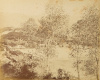 BURTON BROTHERS A Group of Five Burton Brothers Photographs of Various South Island Landscapes Including Akaroa, Timaru Garden, Christchurch, Avon River