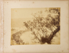 BURTON BROTHERS A Group of Three Burton Brothers Pictures of Waiwera and Stewart Island - 3