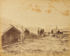BURTON BROTHERS Two Pictures by the Burton Brothers of Te Aroha at Māori Whares and the Thames River