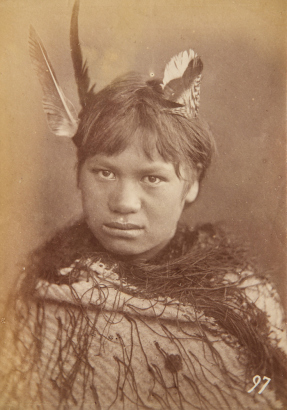 UNKNOWN PHOTOGRAPHER A head and shoulders portrait of a Māori wahine with feathers in her hair and wearing a korowai