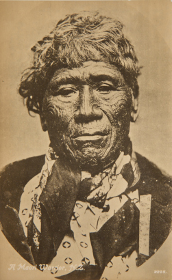 TANNER BROS. LTD Postcard of Whiria Pomare II, a Ngāpuhi rangatira and nephew of Pomare Whetoi