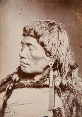 UNKNOWN PHOTOGRAPHER Portrait of a Māori wahine with an incised moko kauae and identified as Tahu Puti