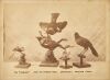 RICHARD JOHN MORRIS Study of Native New Zealand Birds including an Albino Tui and a Kōkako