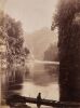 JOSIAH MARTIN Otuwhakakaireau - Whanganui River