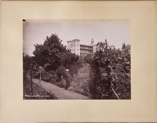 JOSIAH MARTIN Auckland Hospital