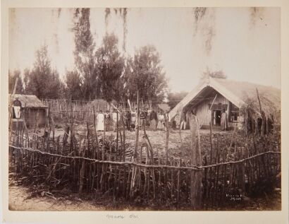 JOSIAH MARTIN Maketu Pā