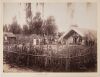 JOSIAH MARTIN Maketu Pā
