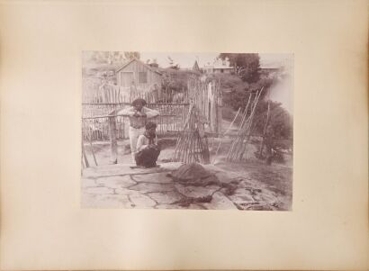 JOSIAH MARTIN A Māori Hangi and a Photograph of New Zealand Tree Ferns