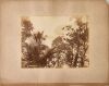 HEMUS & HANNA Album Page Featuring a Portrait of Hohua Ahowhenua inside the Te Wai o Turongo Runanga House ia Waharoa by Hemus & Hanna and a Landscape of Waiwera by the Burton Brothers - 2