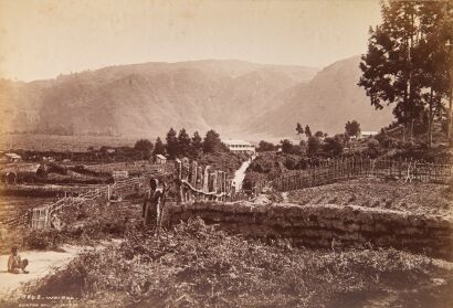 BURTON BROTHERS Landscape of Wairoa