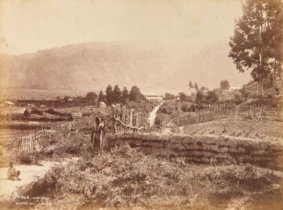 BURTON BROTHERS An Album Page Featuring a Landscape of Wairoa and a Landscape of Near Levuka in Fiji by the Burton Brothers
