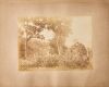 BURTON BROTHERS An Album Page Featuring a Landscape of Wairoa and a Landscape of Near Levuka in Fiji by the Burton Brothers - 3