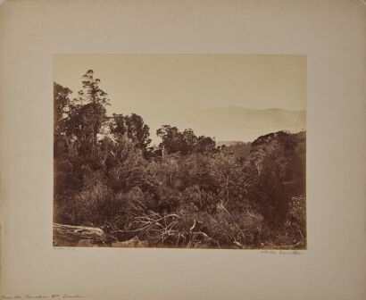 UNKNOWN PHOTOGRAPHER Four photographs from the outskirts of Dunedin