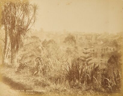 BURTON BROTHERS Two Pictures of Auckland by the Burton Brothers of Prince's St and the Domain